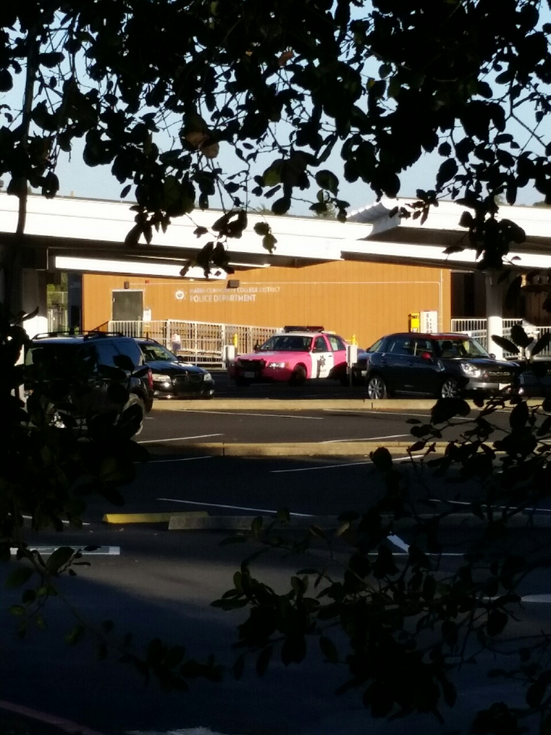 Why does my city have a pink police car/sheriff ?